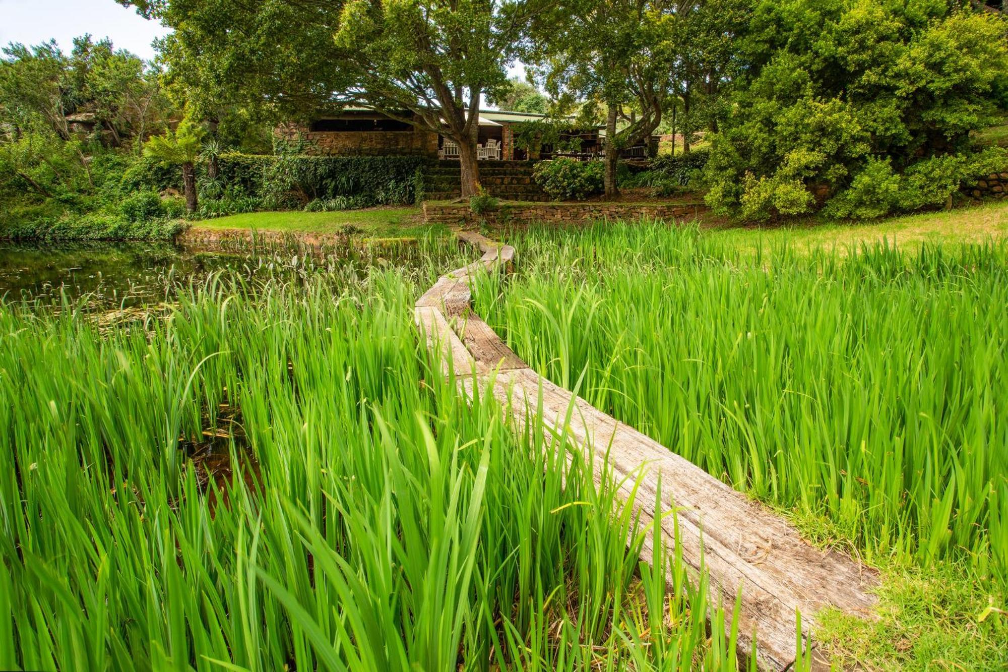 Paardeplaats Nature Retreat Rhenosterhoek Exteriör bild